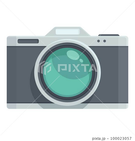 Camera icon cartoon vector. Digital photo. Flash picture Camera icon cartoon vector. Digital photo. Flash picture 100023057