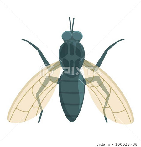 Tsetse fly icon cartoon vector. Africa insect. Animal mosquito Tsetse fly icon cartoon vector. Africa insect. Animal mosquito 100023788