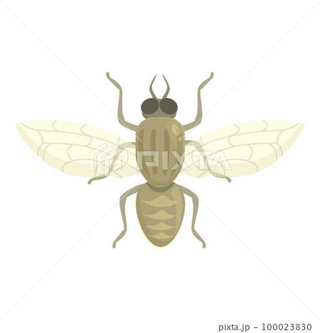 Blood tsetse fly icon cartoon vector. Africa insect. Nature wings Blood tsetse fly icon cartoon vector. Africa insect. Nature wings 100023830