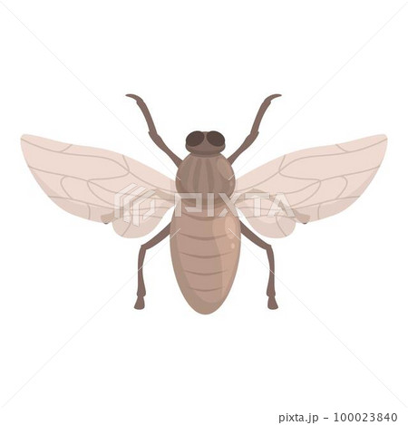 Health tsetse fly icon cartoon vector. Africa insect. Ancient wings Health tsetse fly icon cartoon vector. Africa insect. Ancient wings 100023840