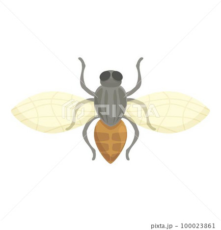 Nature tsetse fly icon cartoon vector. Africa insect. Drop ancient Nature tsetse fly icon cartoon vector. Africa insect. Drop ancient 100023861