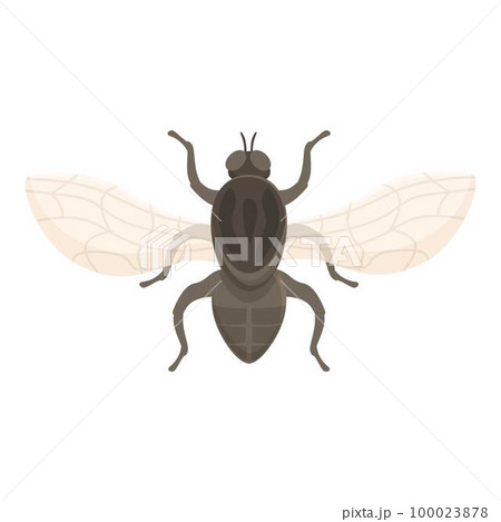 Tik tsetse fly icon cartoon vector. Africa insect. Animal etching Tik tsetse fly icon cartoon vector. Africa insect. Animal etching 100023878
