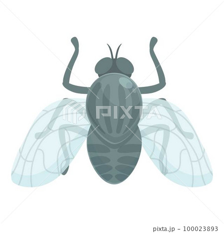 Tsetse fly mosquito icon cartoon vector. Africa insect. Nature wings Tsetse fly mosquito icon cartoon vector. Africa insect. Nature wings 100023893