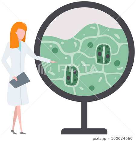 Biologists study structure of plant cell. Biological research with green sample in laboratory Biologists study structure of plant cell. Biological research with green sample in laboratory 100024660