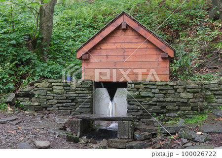 Hearty spring of water in Beskid Mountains. His name is spring of Jicinka . Drinking water source for tourists 100026722