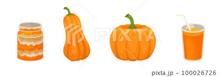 Pumpkin Dish and Food with Ripe Bright Orange Crop Vector Set 100026726