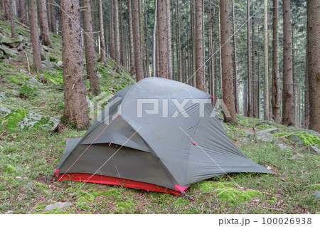 Lightweight freestanding three-season 2-person tent, inner tent body with rainfly, on forest in the evening in spruce forest  in Beskid Mountains 100026938