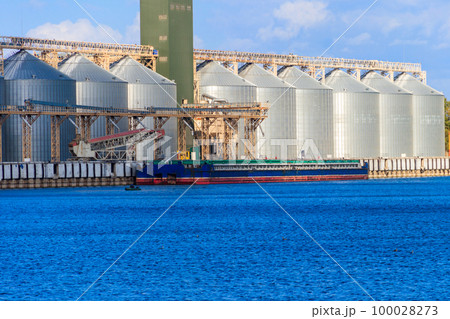 Modern granaries for storing cereal grains on a bank of the Dnieper river 100028273