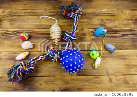 Set of toys for cats and dogs on wooden background. Top view Set of toys for cats and dogs on wooden background. Top view 100028295