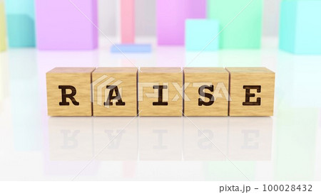RAISEの文字が印字された木製ブロック 100028432