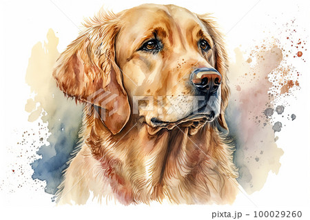 Golden retriever. Portrait of a golden retriever dog. Watercolor dog portrait 100029260