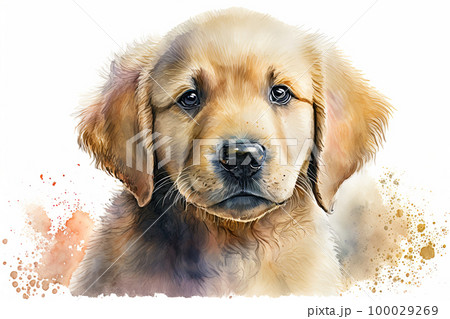 Golden Retriever Puppy Drawings for Sale  Pixels