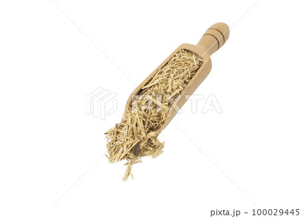siberian ginseng in latin Eleutherococcus senticosus in wooden scoop isolated on white siberian ginseng in latin Eleutherococcus senticosus in wooden scoop isolated on white 100029445