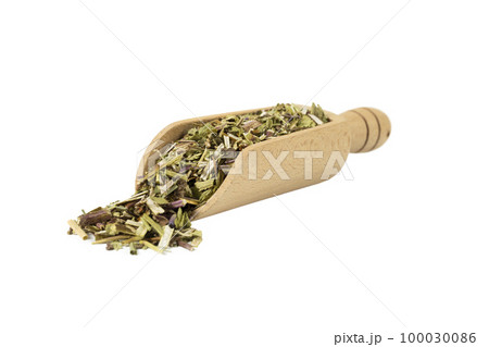 Catnip herb in latin - Nepeta cataria in wooden scoop isolated on white background. Medicinal herb. 100030086