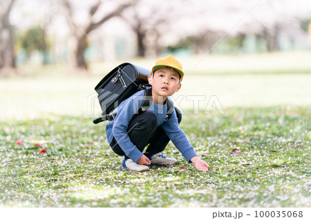 8 years old 100035068