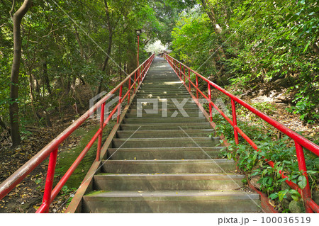 【剣五山 千手院 弥谷寺】 (四国霊場第71番札所) 香川県三豊市三野町大見乙 100036519
