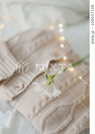 Creative composition with beautiful daffodils and sweater on light background. Knitted beige sweater and delicate spring flower. Winter and spring fashion concept 100037106