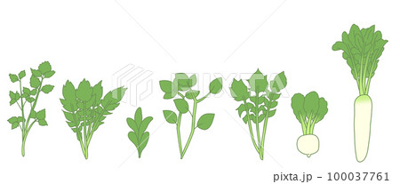 春の七草の素材イラスト 100037761
