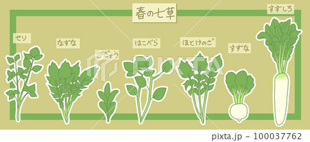 春の七草のイラスト 春の七草のイラスト 100037762
