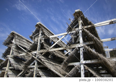 流下式枝条架塩田 100038201