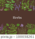 Hand-Drawn Color Square Template with Herbs 100038261