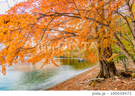 紅葉の日光　～中禅寺湖～ 100038472