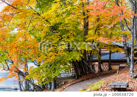 日光 紅葉の中禅寺湖　～イタリア大使館別荘記念公園～ 100038720