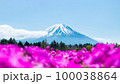 富士芝桜まつり 100038864