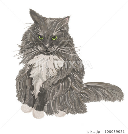 油彩で描いた猫（サイベリアン） 100039021