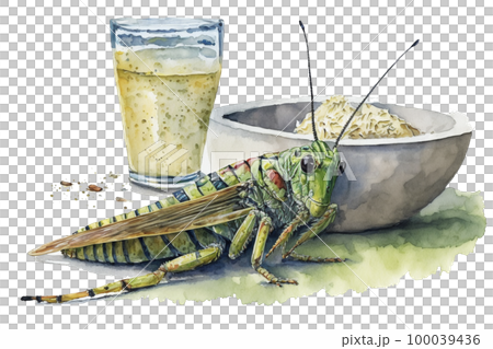 イメージ素材:昆虫食をイメージした水彩イラスト イメージ素材:昆虫食をイメージした水彩イラスト 100039436