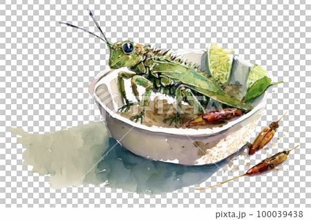Image material: Watercolor illustration inspired by insect food 100039438