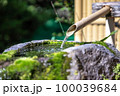 日本のつくばい　和風イメージ 100039684