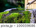 日本のつくばい　和風イメージ 100039686