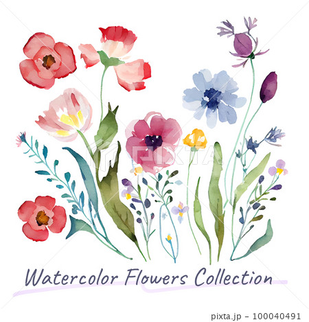 水彩画 花