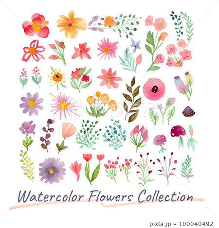 イメージ素材:かわいい花の水彩画イラストセット イメージ素材:かわいい花の水彩画イラストセット 100040492