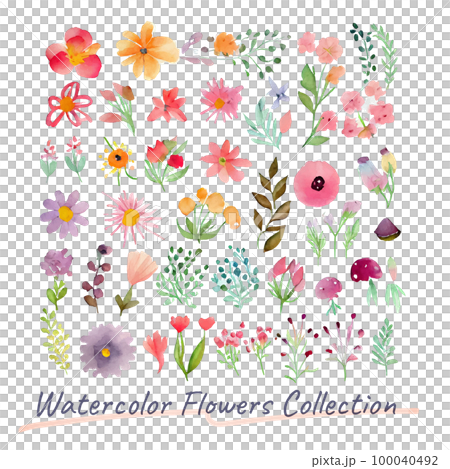 イメージ素材:かわいい花の水彩画イラストセット イメージ素材:かわいい花の水彩画イラストセット 100040492