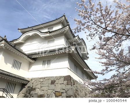 桜と大多喜城 100040544