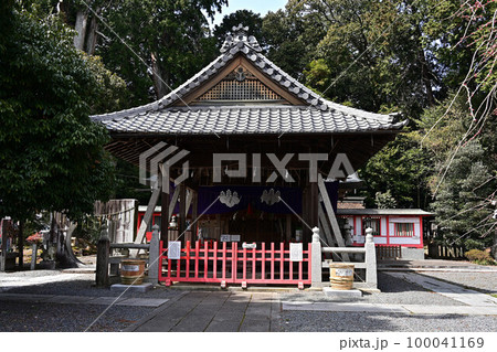 春の薭田野神社 春の薭田野神社 100041169
