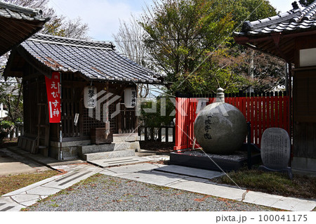 春の薭田野神社 春の薭田野神社 100041175