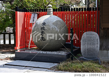 春の薭田野神社 100041522