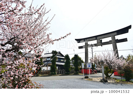 春の薭田野神社 春の薭田野神社 100041532