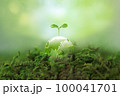 透明の地球に新芽が成長。環境保護や持続可能な社会イメージ 100041701