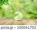 森林の背景に透明な地球。気候変動や環境保護のイメージ 100041702