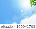 爽やかな木漏れ日と紫外線の青空背景。風に葉が舞う 100041703