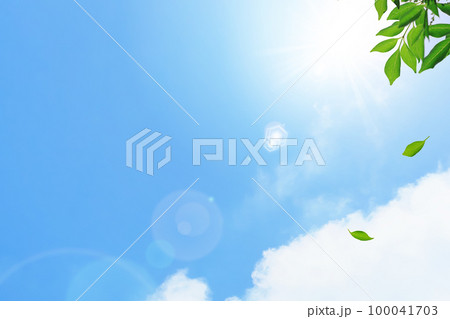 爽やかな木漏れ日と紫外線の青空背景。風に葉が舞う 爽やかな木漏れ日と紫外線の青空背景。風に葉が舞う 100041703