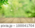 木製のテーブルに樹木の葉っぱが風に揺れている。自然共生や自然素材のイメージ 100041704