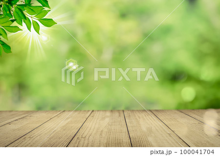 木製のテーブルに樹木の葉っぱが風に揺れている。自然共生や自然素材のイメージ 100041704