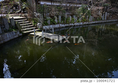 春の薭田野神社 春の薭田野神社 100041721