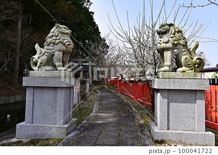 春の薭田野神社 春の薭田野神社 100041722