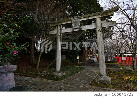 春の薭田野神社 春の薭田野神社 100041725